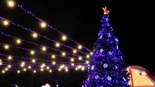 (포토뉴스) 퍼플섬에 찾아온 산타클로즈와 크리스마스 트리