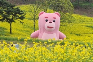 (포토뉴스) 미리 보는 화순 고인돌 봄꽃 축제… “화순으로 봄 소풍 가자”